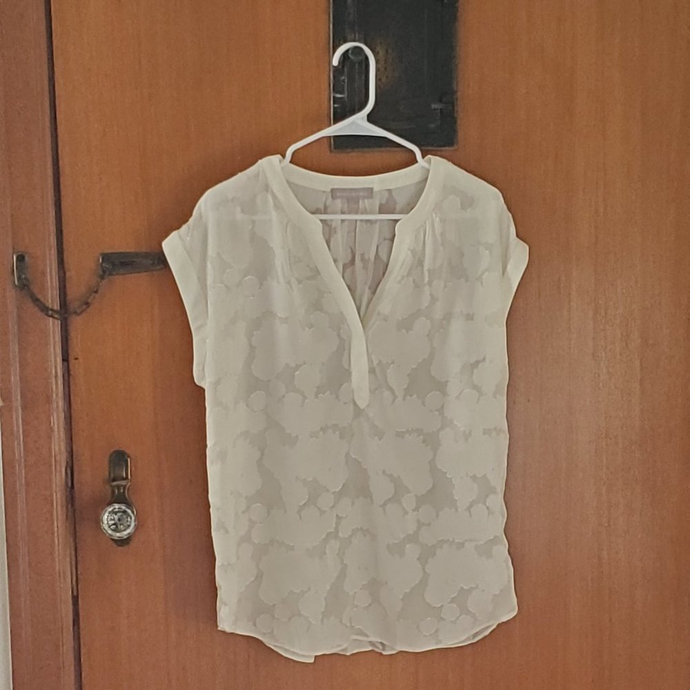 Banana Republic Floral Burnout Top - Large